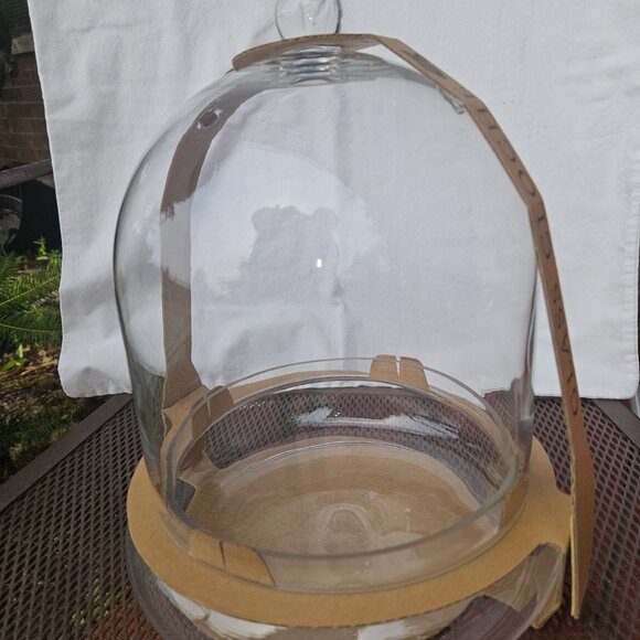 Large 12" Syndicate Home and Garden Glass Terrarium/Cloche W/Bottom Plate - Picture 2 of 9